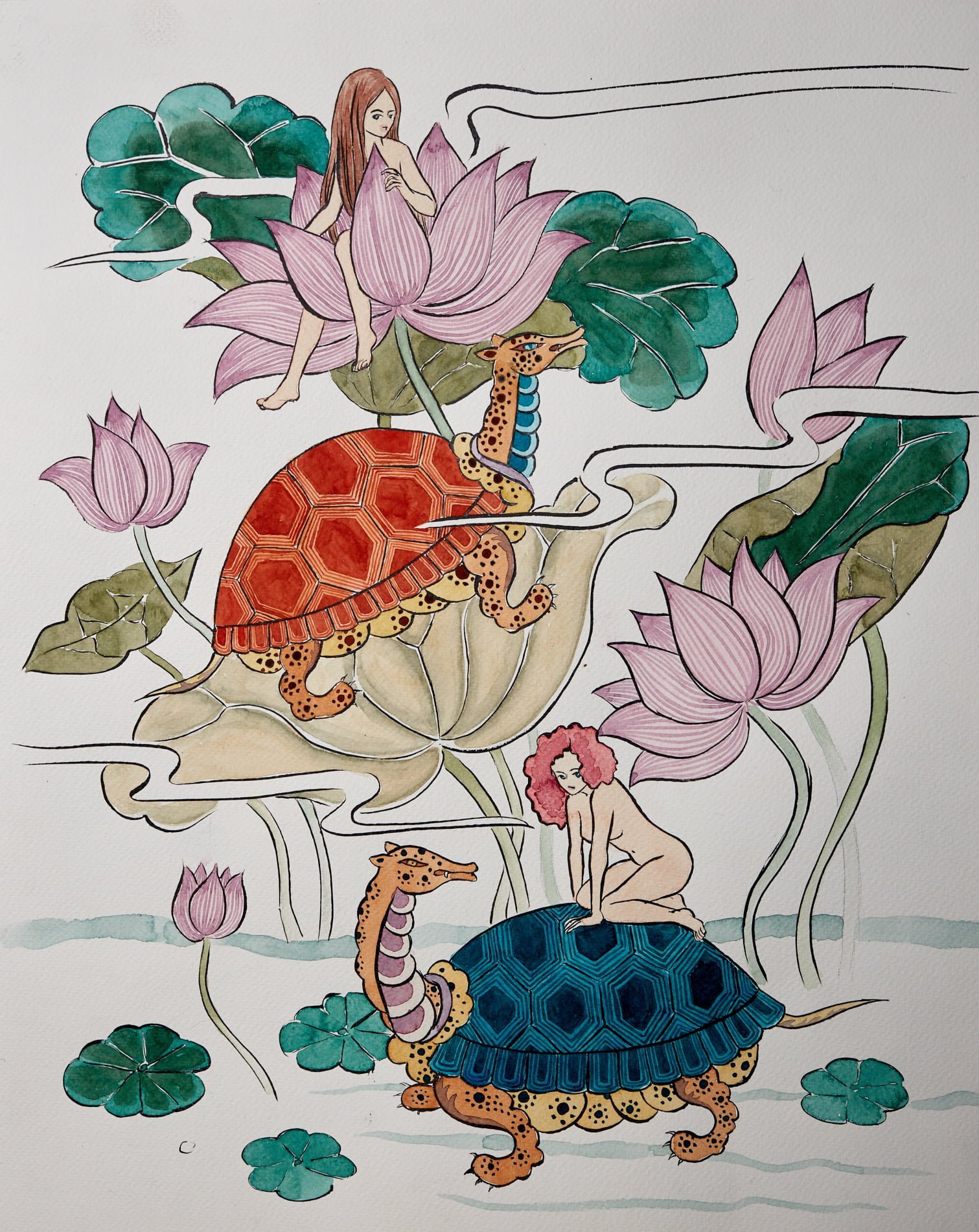 Lotus Turtles by Sung Lee